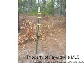 3295 Hillmon Grove Road Cameron, NC 28326 - Photo 17 of 17 Gallery Image 17