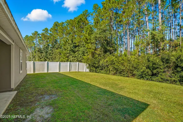 a view of a backyard