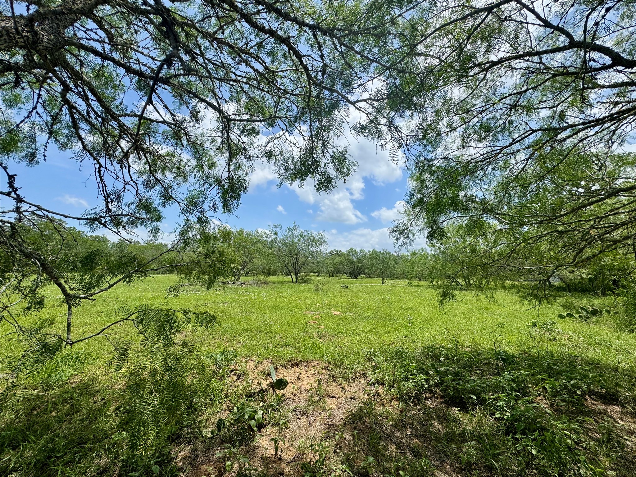 0 Batey Road Nixon, TX 78140 - Photo 4 of 13 a view of a lush green space