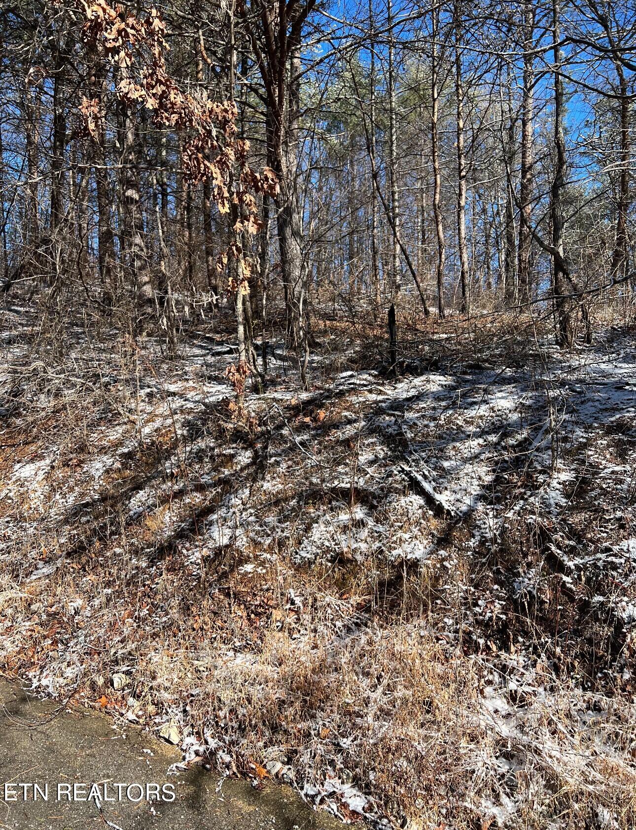 Rubicon Ridge Road Sevierville, TN 37862 - Photo 3 of 7 89803