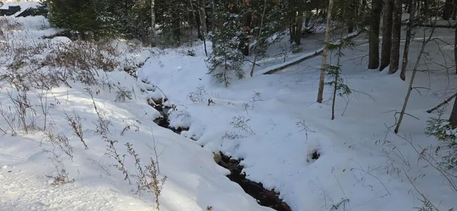 $65,000 | 86 Irving Green Road, Waterford, ME 04088