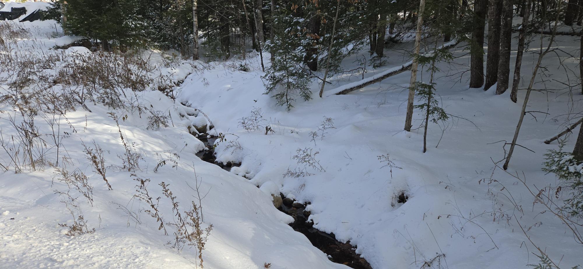 86 Irving Green Road Waterford, ME 04088 - Photo 14 of 15 20251211_131355