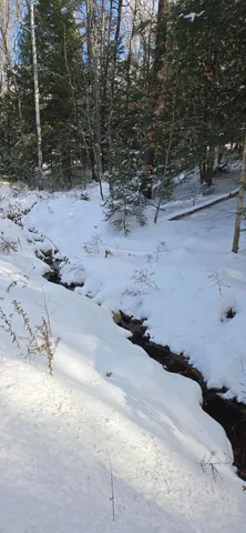 $65,000 | 86 Irving Green Road, Waterford, ME 04088