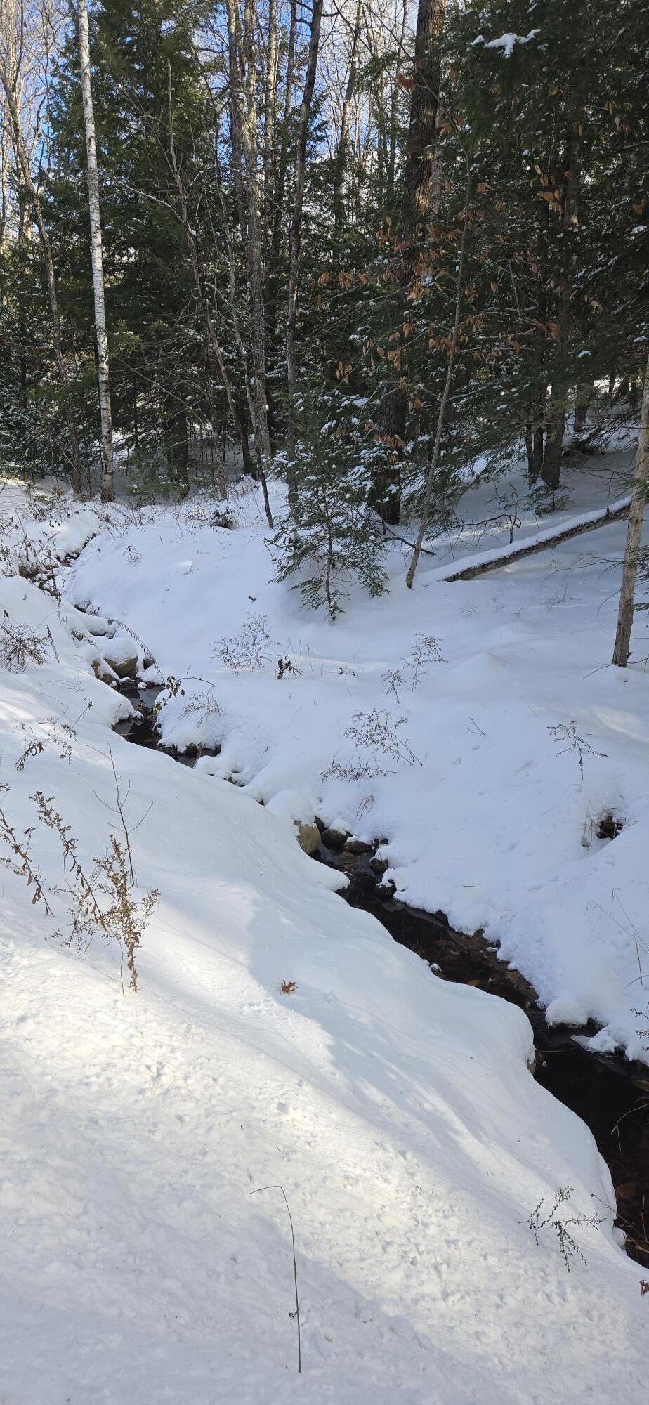 86 Irving Green Road Waterford, ME 04088 - Photo 15 of 15 20251211_131358