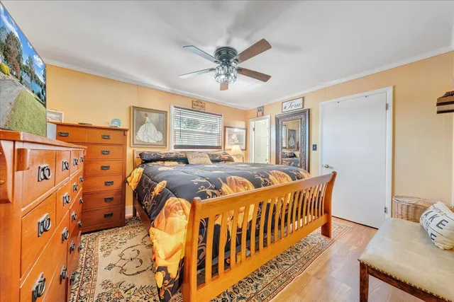 a aerial view of a house with swimming pool and large trees
