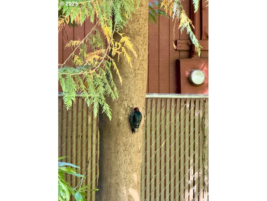 21191 East Country Club Road Brightwood, OR 97011 - Photo 16 of 44