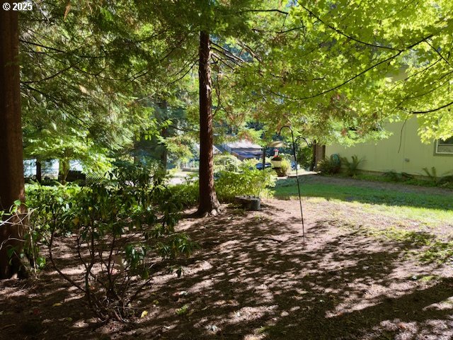 21191 East Country Club Road Brightwood, OR 97011 - Photo 43 of 44