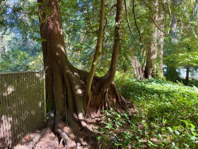 21191 East Country Club Road Brightwood, OR 97011 - Photo 44 of 44