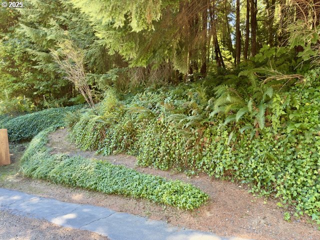 21191 East Country Club Road Brightwood, OR 97011 - Photo 10 of 44