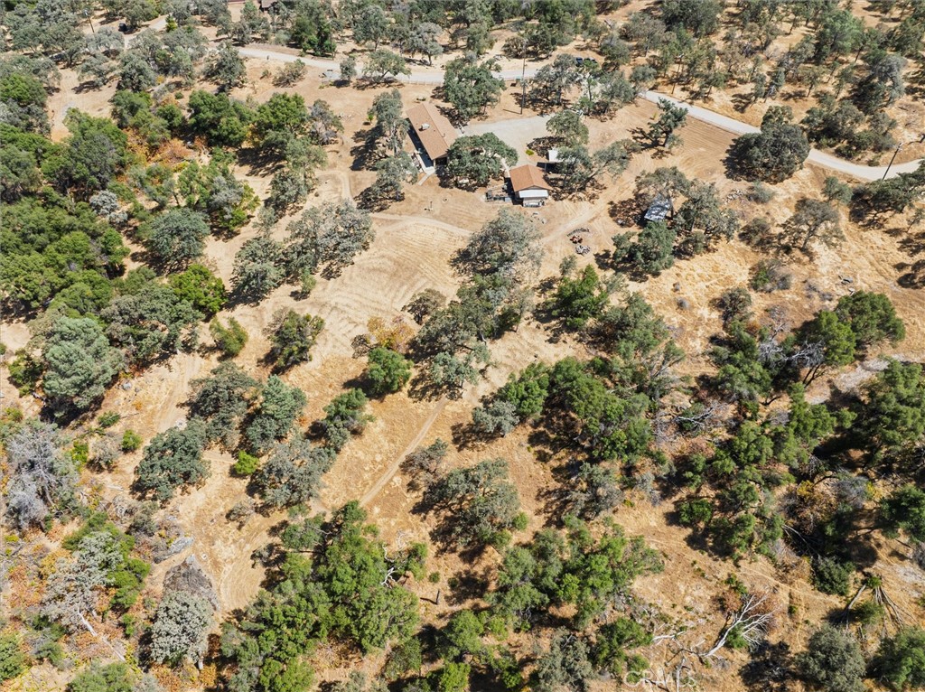 4870 Streeter Mountain Road Mariposa, CA 95338 - Photo 41 of 45 view of a covered with large trees
