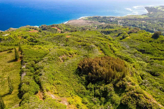 $17,500,000 | 0 Kahekili Highway, Wailuku, HI 96793