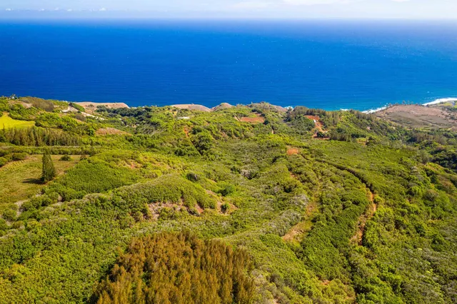 $17,500,000 | 0 Kahekili Highway, Wailuku, HI 96793