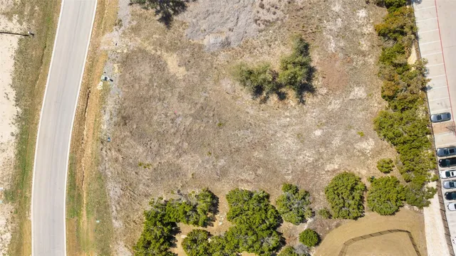 a close up of a plant