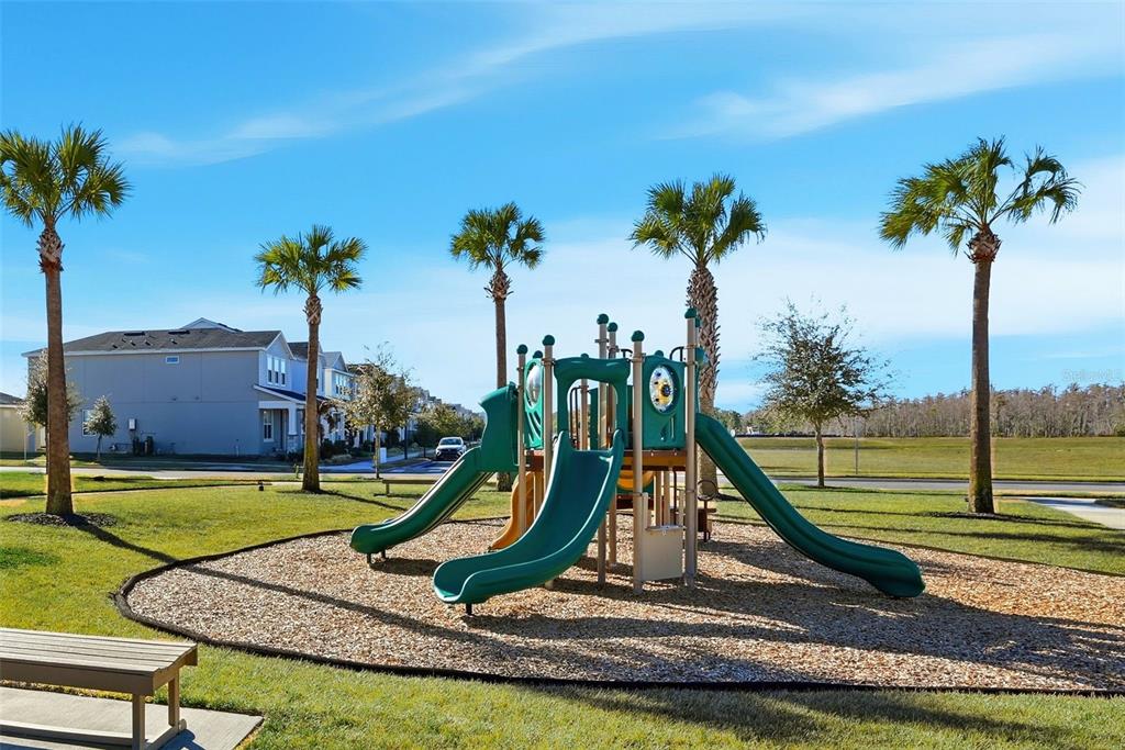 14075 Lochend Way Winter Garden, FL 34787 - Photo 40 of 43