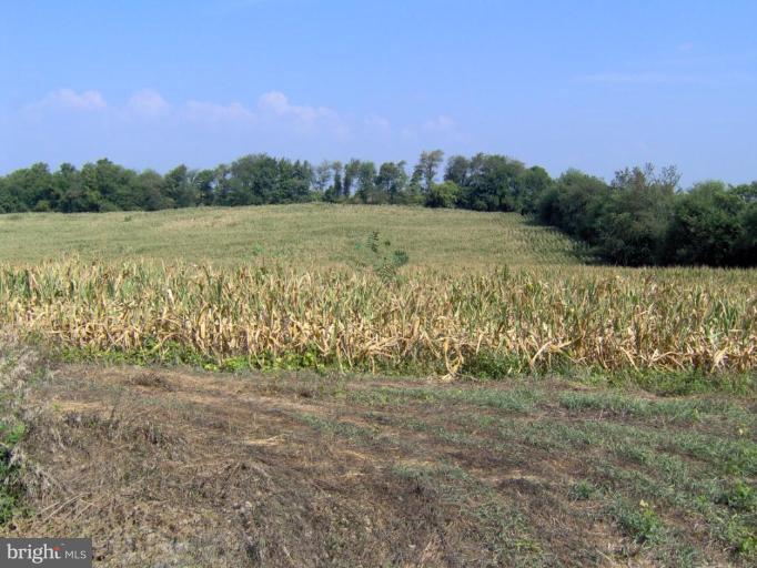3233 Falling Spring Road Chambersburg, PA 17202 - Photo 3 of 6 31.2 ACRES