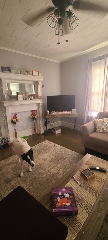 229 Cory Street Fall River, MA 02720 - Photo 22 of 30 a living room with furniture and a chandelier