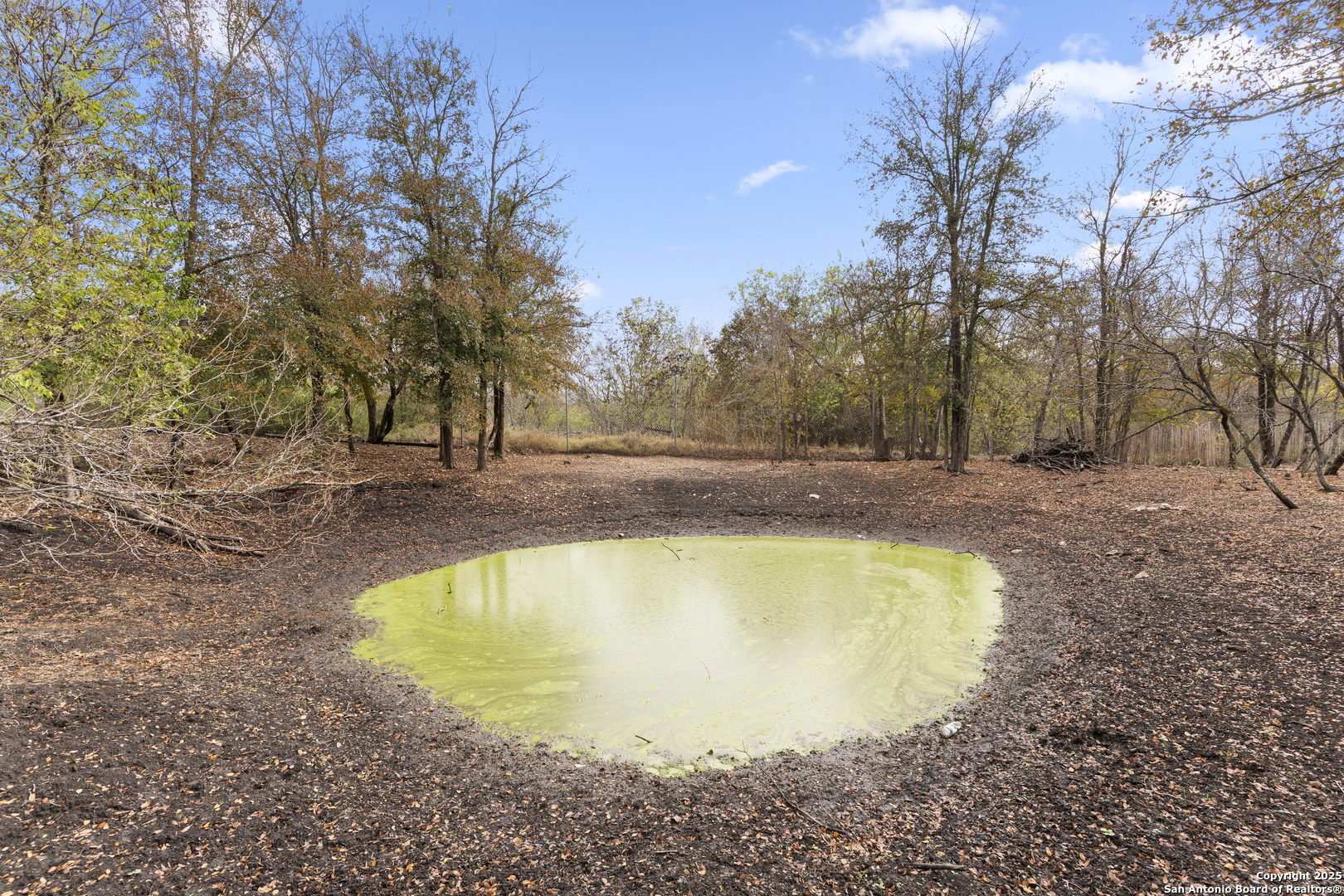 479 Mostyn Lane San Marcos, TX 78666 - Photo 6 of 14