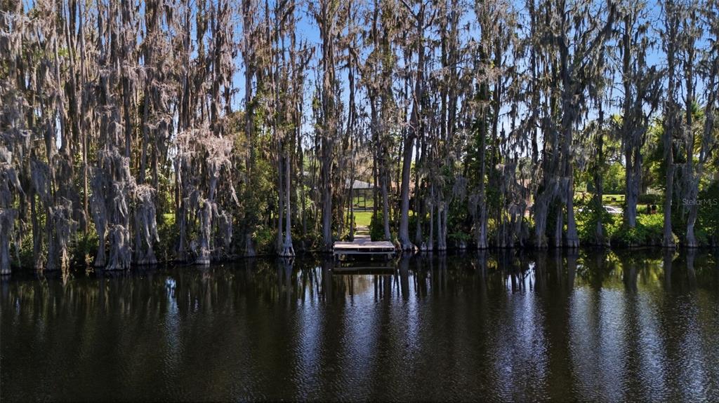 820 Newberger Road Lutz, FL 33549 - Photo 9 of 40