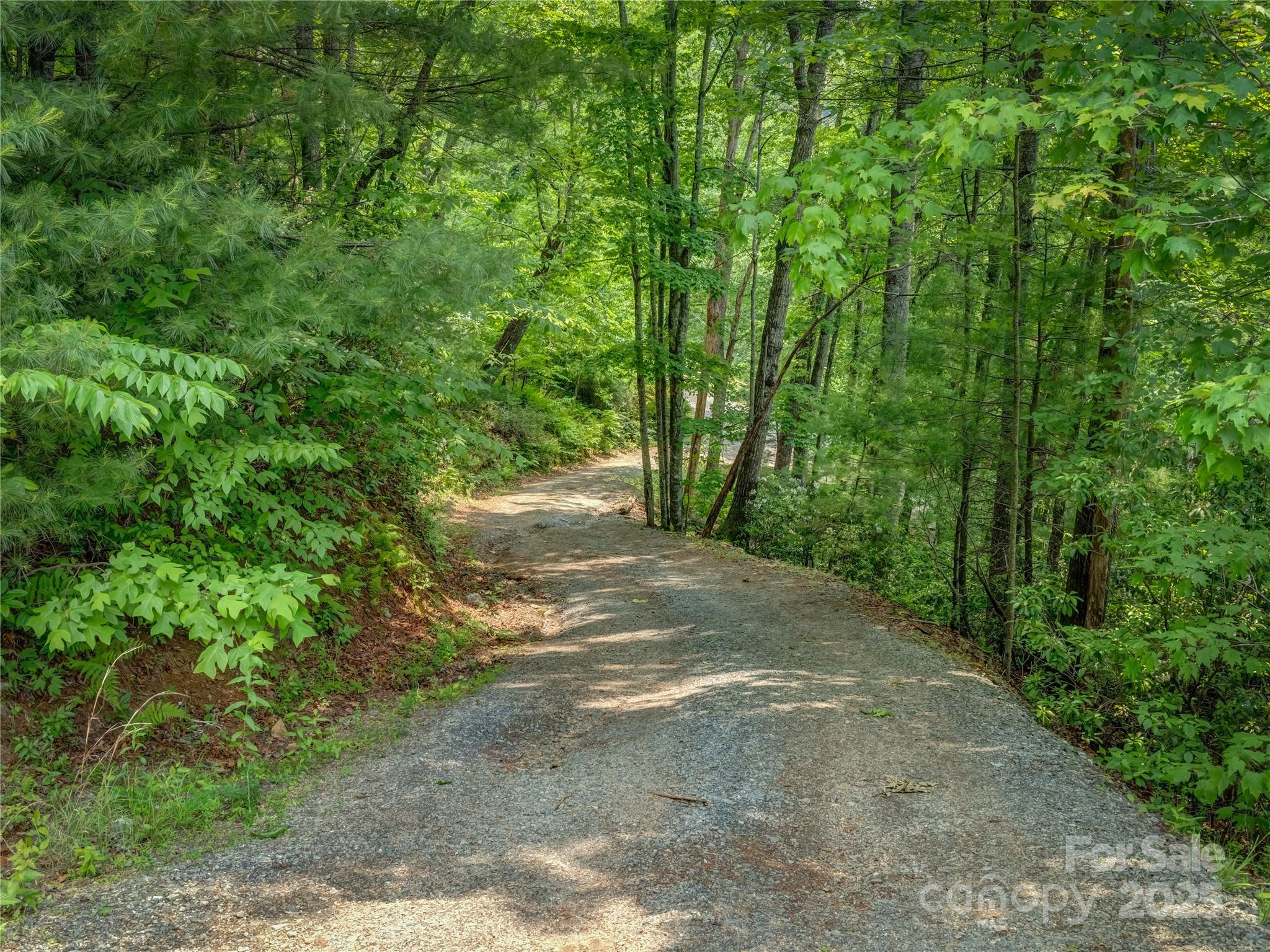 0 Israel Road Brevard, NC 28712 - Photo 11 of 17