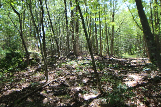 $59,000 | Lot 96 Pond Street Extension Street, Bucksport, ME 04416