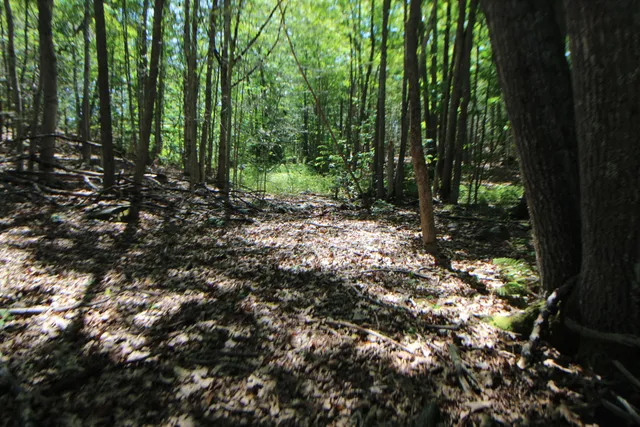 $59,000 | Lot 96 Pond Street Extension Street, Bucksport, ME 04416