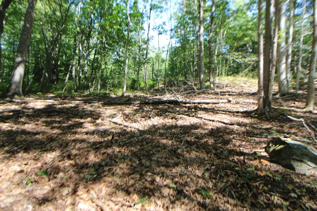 $59,000 | Lot 96 Pond Street Extension Street, Bucksport, ME 04416