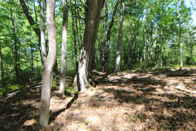 $59,000 | Lot 96 Pond Street Extension Street, Bucksport, ME 04416