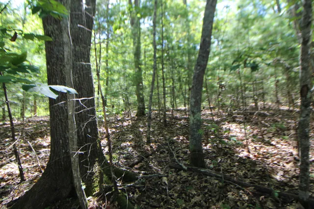 $59,000 | Lot 96 Pond Street Extension Street, Bucksport, ME 04416