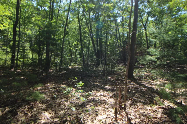 $59,000 | Lot 96 Pond Street Extension Street, Bucksport, ME 04416