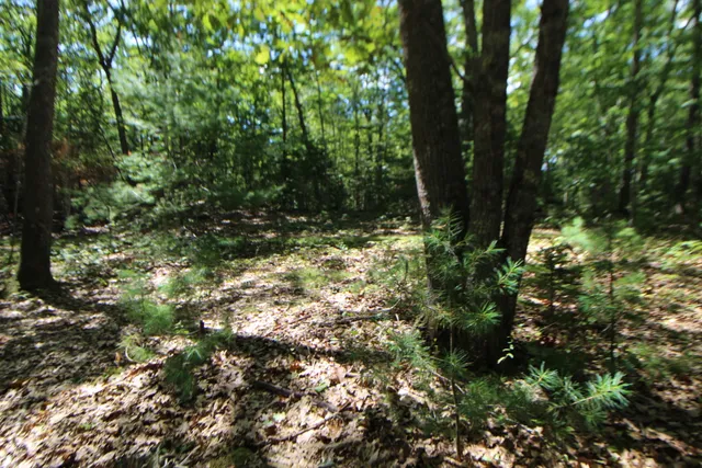 $59,000 | Lot 96 Pond Street Extension Street, Bucksport, ME 04416