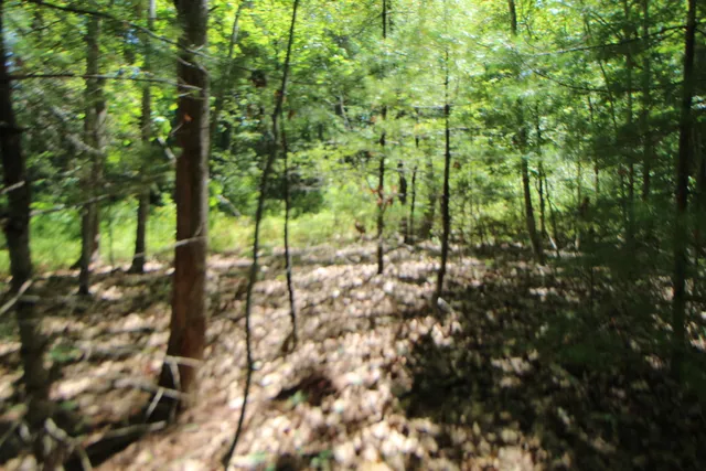 $59,000 | Lot 96 Pond Street Extension Street, Bucksport, ME 04416