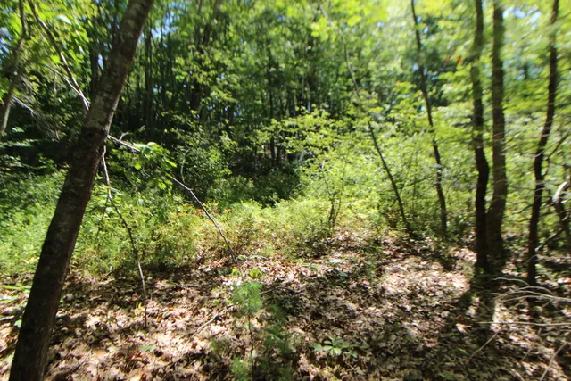 $59,000 | Lot 96 Pond Street Extension Street, Bucksport, ME 04416