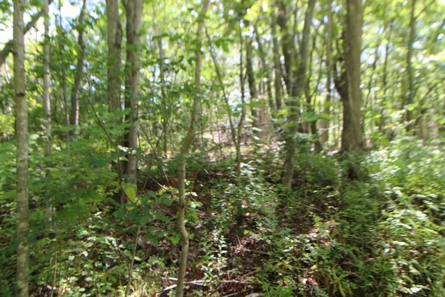 $59,000 | Lot 96 Pond Street Extension Street, Bucksport, ME 04416