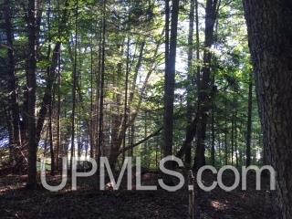 Tbd Cardinal Point Road Michigamme, MI 49861 - Photo 8 of 9