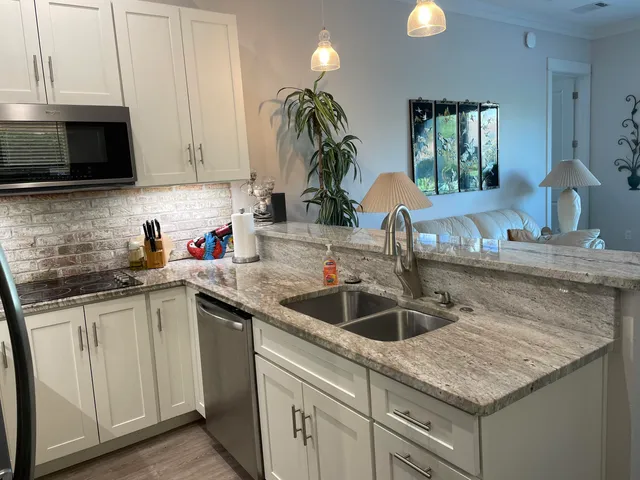 a kitchen with granite countertop a counter space cabinets stainless steel appliances and potted plant