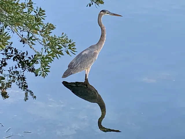 a house with trees in front of it