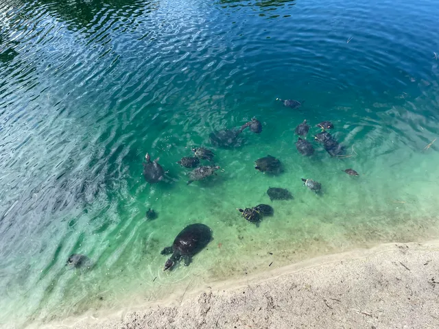 $929,000 | 266 Calusa Boulevard, Destin, FL 32541