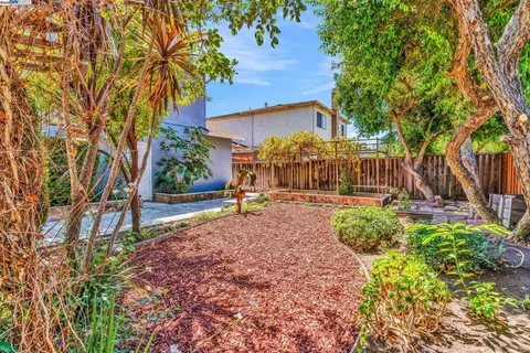 a view of backyard with large trees and flower plants