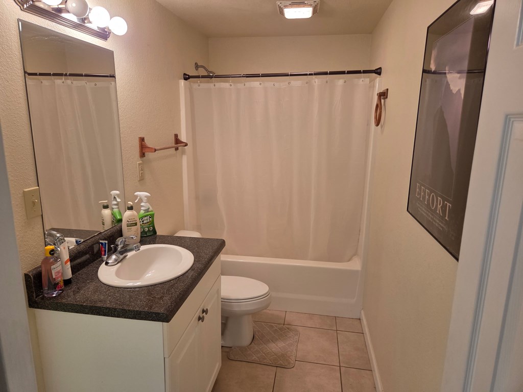 208 Ledford Chapel Road Hayesville, NC 28904 - Photo 30 of 35 a bathroom with a sink toilet and shower