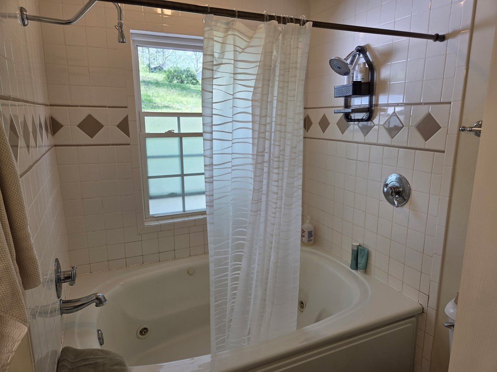 208 Ledford Chapel Road Hayesville, NC 28904 - Photo 33 of 35 a bathroom with a shower and a sink