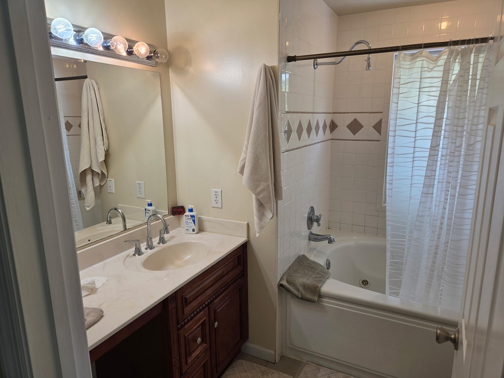 208 Ledford Chapel Road Hayesville, NC 28904 - Photo 34 of 35 a bathroom with a sink a mirror and a shower