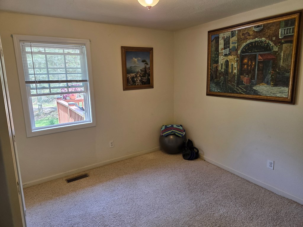 208 Ledford Chapel Road Hayesville, NC 28904 - Photo 6 of 35 an empty room with windows and closet