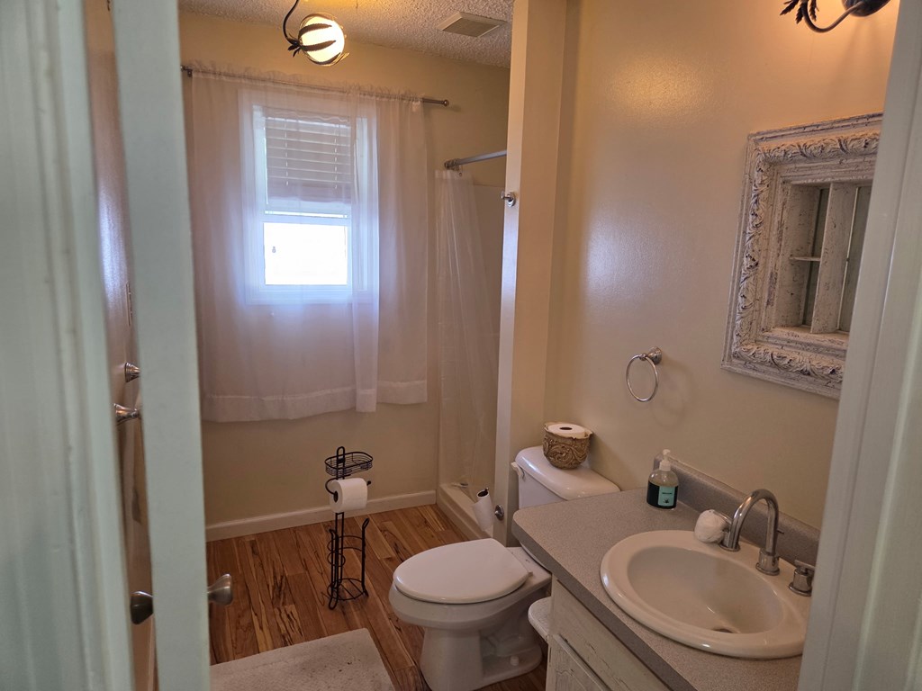 208 Ledford Chapel Road Hayesville, NC 28904 - Photo 7 of 35 a bathroom with a sink toilet and a mirror