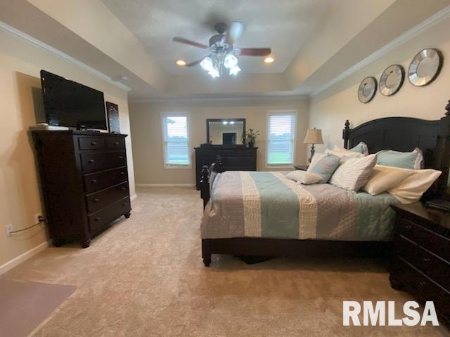 12085 Strawberry Road Carbondale, IL 62901 - Photo 6 of 9