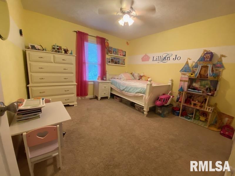 12085 Strawberry Road Carbondale, IL 62901 - Photo 7 of 9