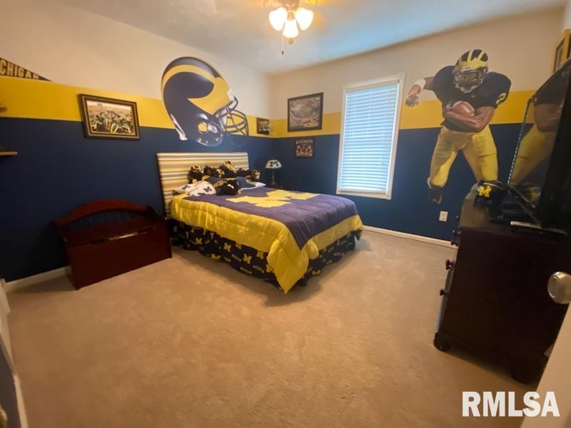 12085 Strawberry Road Carbondale, IL 62901 - Photo 9 of 9
