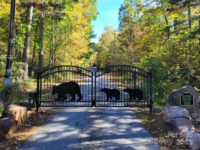 a view of a yard with plants and trees