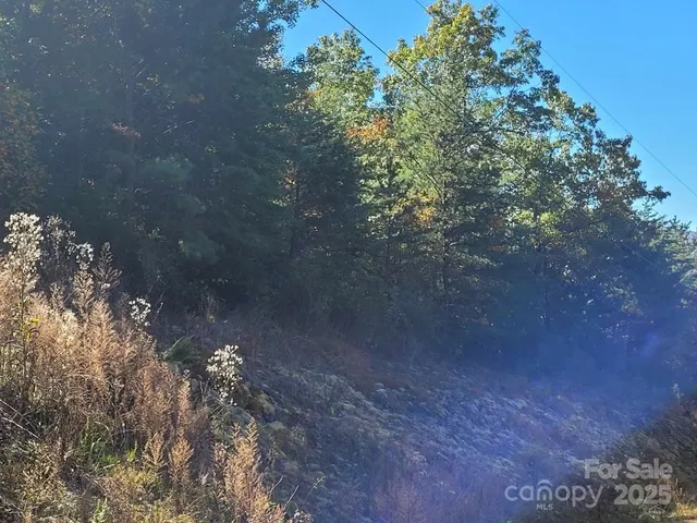 a picture of street view