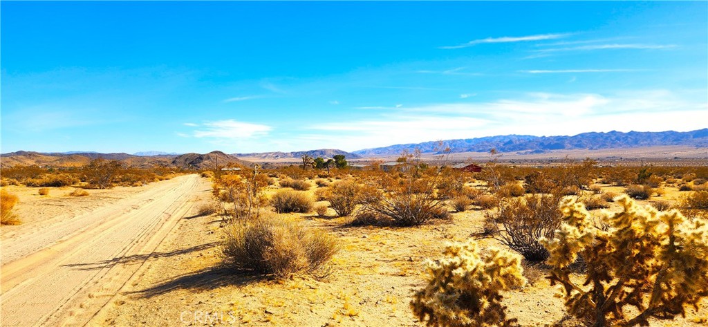 62259 Dixie Lane Joshua Tree, CA 92252 - Photo 1 of 3 East facing view