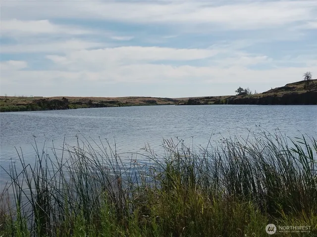 a view of a lake from a yard